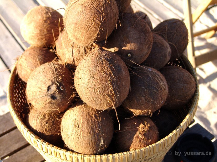 Das Highlight, traditionelles Kokosnuss öffnen zur Begrüßung ihrer Gäste (24)